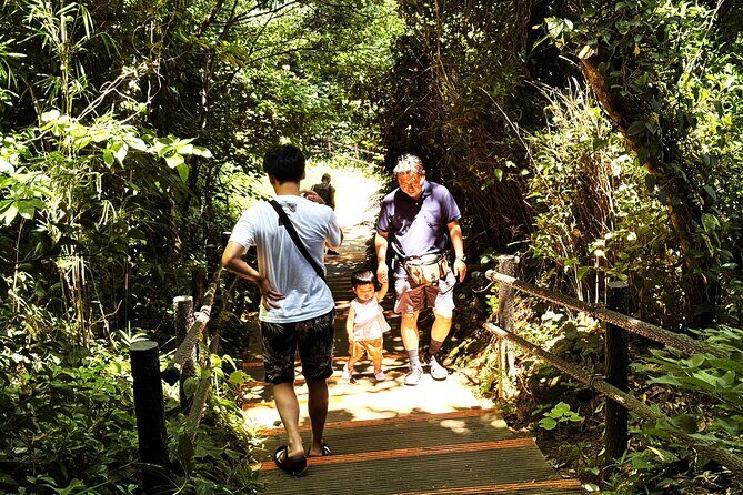 Yokosuka: Guided Island Tour to Sarushimas Forgotten Fort - Final Thoughts