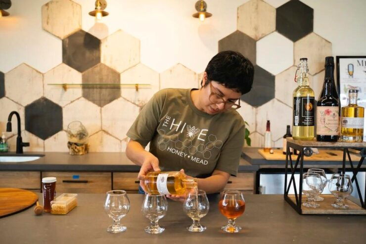 Yolo: Vineyards, Farms & Cultural Gems - Audio Driving Tour - Tour Overview