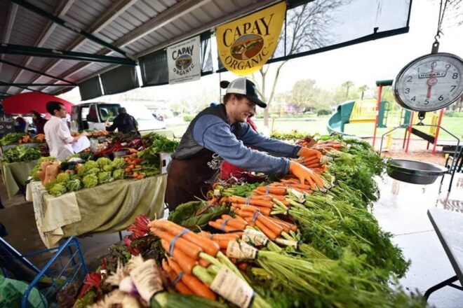 Yolo: Vineyards, Farms & Cultural Gems - Audio Driving Tour - Tour Duration