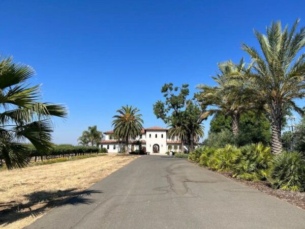 Yolo: Vineyards, Farms & Cultural Gems - Audio Driving Tour - Tour Experience