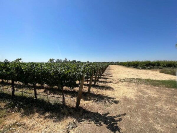 Yolo: Vineyards, Farms & Cultural Gems - Audio Driving Tour - Inclusions & Important Information