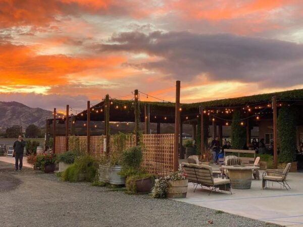 Yolo: Vineyards, Farms & Cultural Gems - Audio Driving Tour - The Sum Up