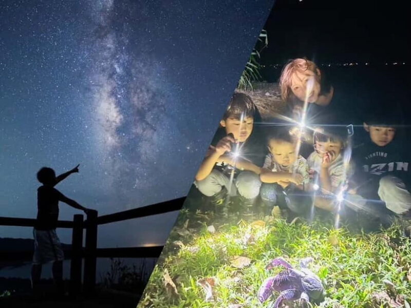 Yonaguni Island: Stargazing and Jungle Night Tour - A Detailed Look at the Yonaguni Night Tour Experience