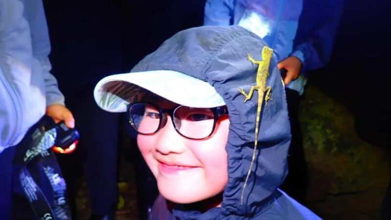 Yonaguni Island: Stargazing and Jungle Night Tour - Final Thoughts