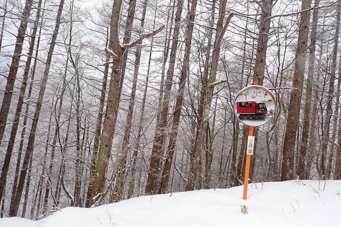 Yonako Falls Expedition: A Snowshoeing Adventure - An In-Depth Look at the Tour