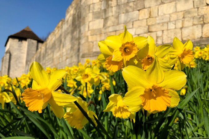 York 4-Hour Photography Walking Tour - Traveler Photos