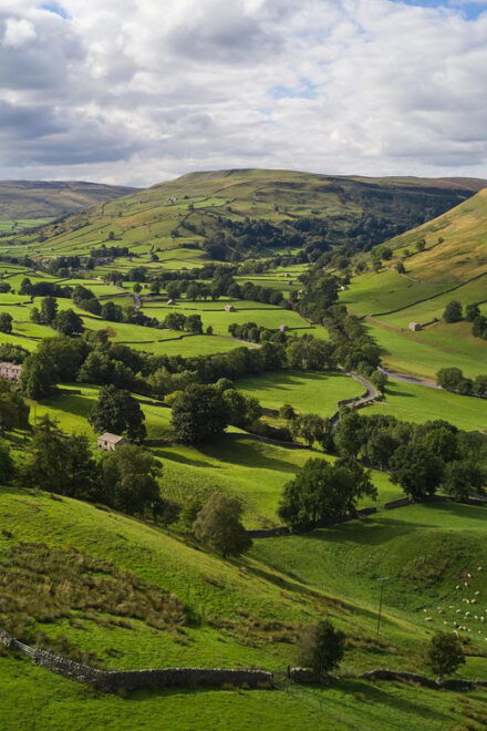 York: All Creatures Great and Small Yorkshire Dales Tour - Booking Information