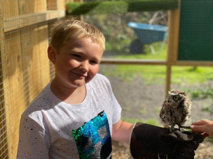 York: Entry to York Bird of Prey Centre - Free Cancellation and Reservation Options