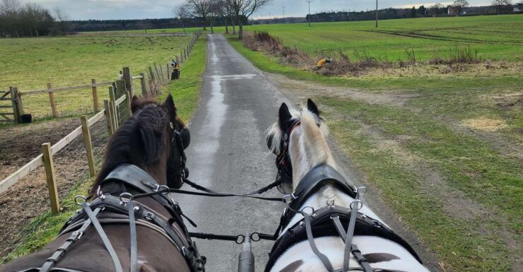 York: Horse Drawn Carriage Ride, Prosecco & Strawberries - Booking Details and Pricing
