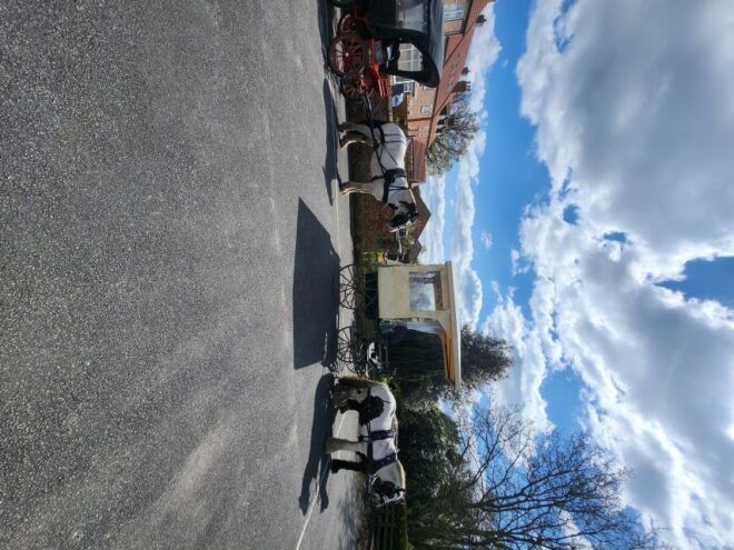 York: Horse Drawn Carriage Ride, Prosecco & Strawberries - Activity Duration and Meeting Point