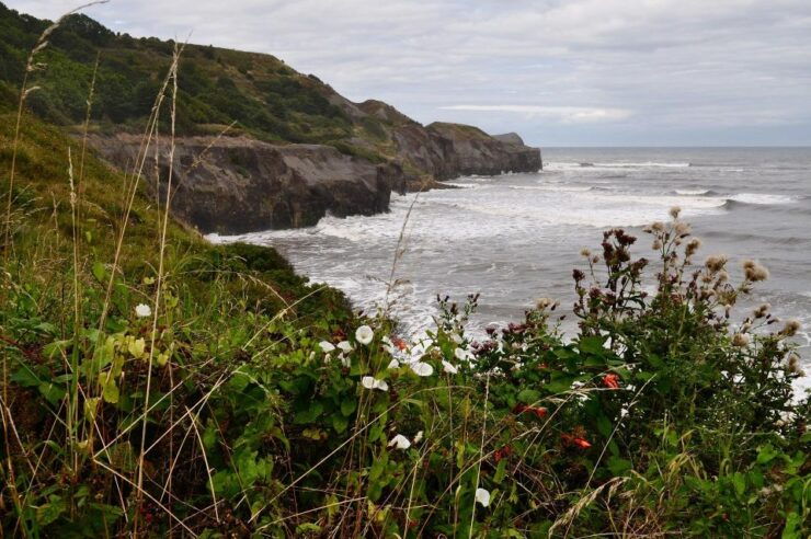 York & North Yorkshire Moors Flexible Self-Guided Road Trip - Activity Details