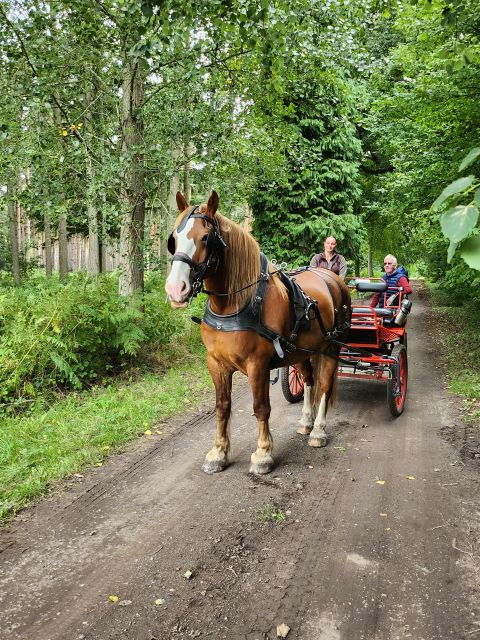 York: Private Horse Drawn Carriage Ride - Highlights