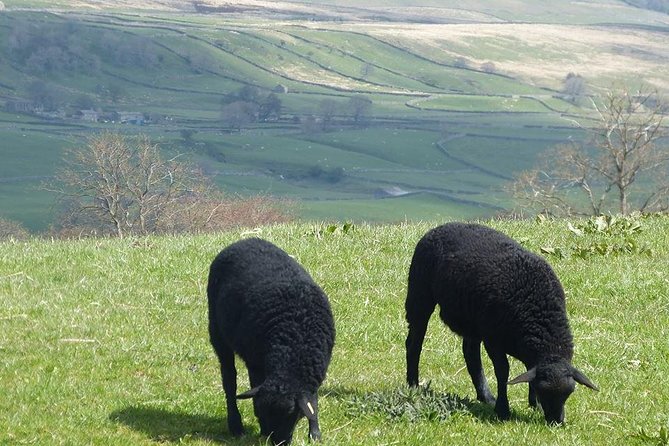 Yorkshire Dales Day Trip From York - Enjoy Panoramic Views Over Kilnsey Crag