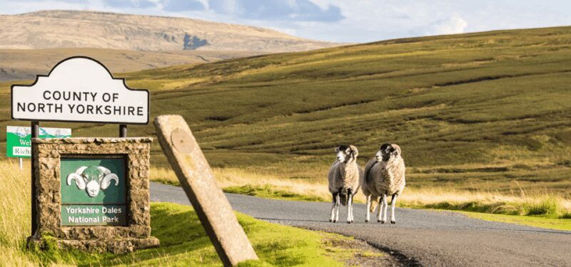 Yorkshire Dales National Park Driving Tour with an APP - Final Thoughts: Is This Tour For You?