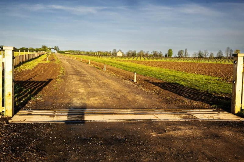 Yorkshire: Loversall Vineyard Wine Tasting and Tour - An In-Depth Look at Loversall Vineyard Tour