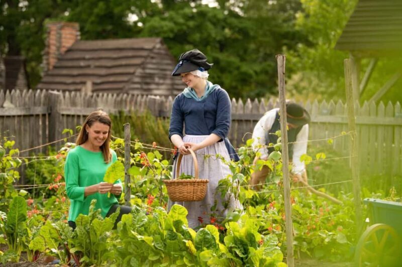 Yorktown American Revolution Museum Ticket with Combo Option - A Deep Dive into the Yorktown Experience