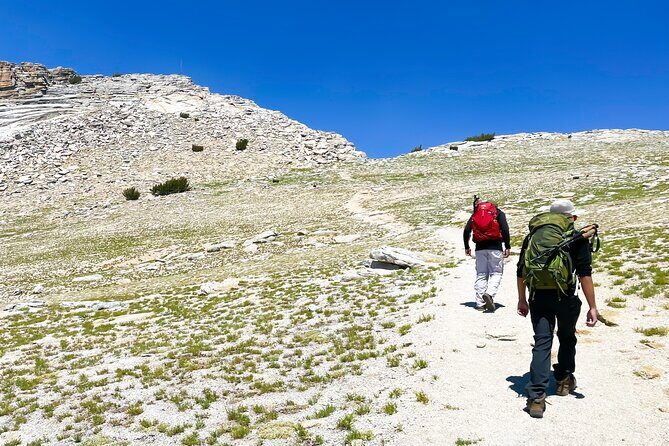 Yosemite: A Guided Father & Son Adventure - An In-Depth Look at Yosemite: A Guided Father & Son Adventure