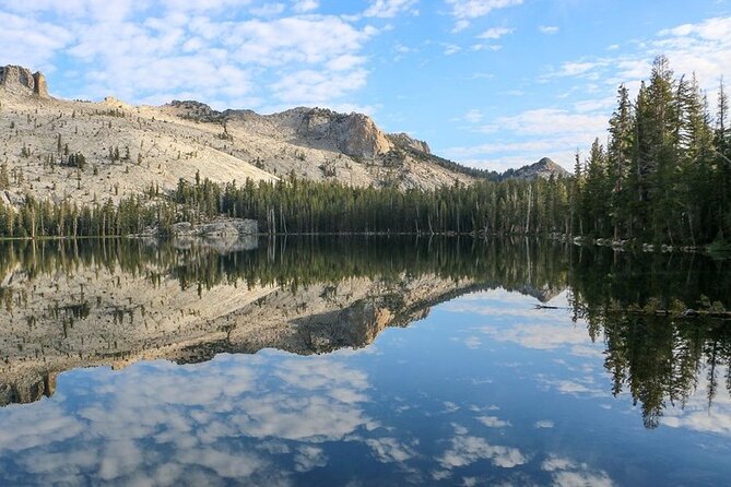 Yosemite and Kings Canyon National Park 2 Day Tour From LA - Inclusions and Highlights