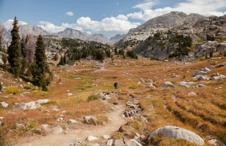 Yosemite High Country & Mariposa Grove Small-Group Tour - Tour Highlights