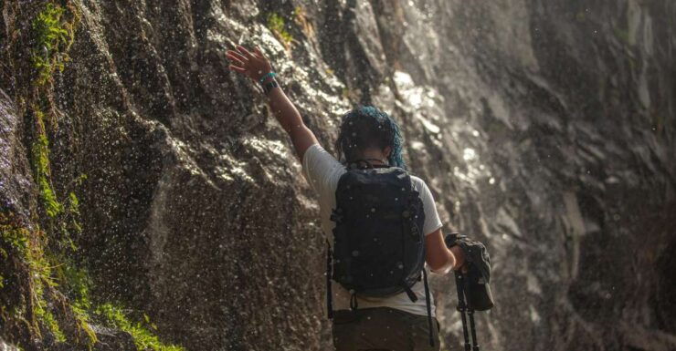 Yosemite High Country & Mariposa Grove Small-Group Tour - Tour Experience