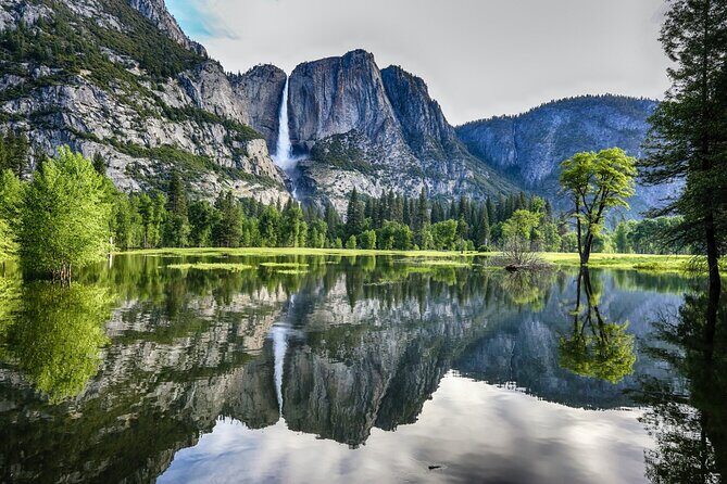 Yosemite Highlights: 5-Day Tour from San Francisco - Final Thoughts