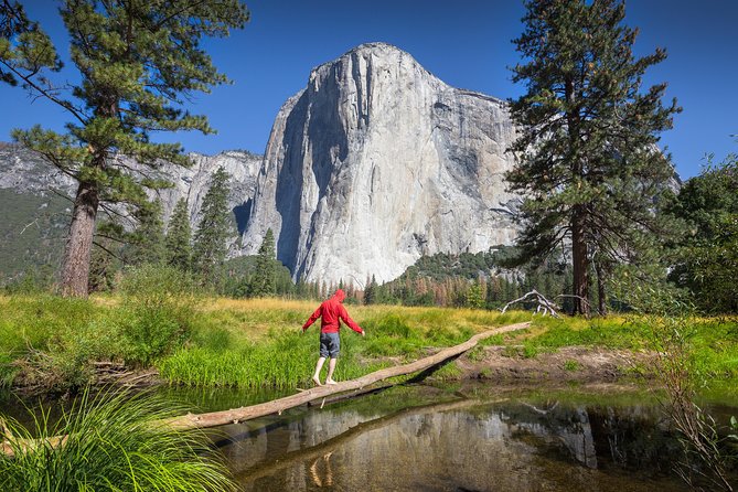 Yosemite National Park & Giant Sequoias 3-Day Semi-Guided Tour (No Accom) - Tour Itinerary Overview