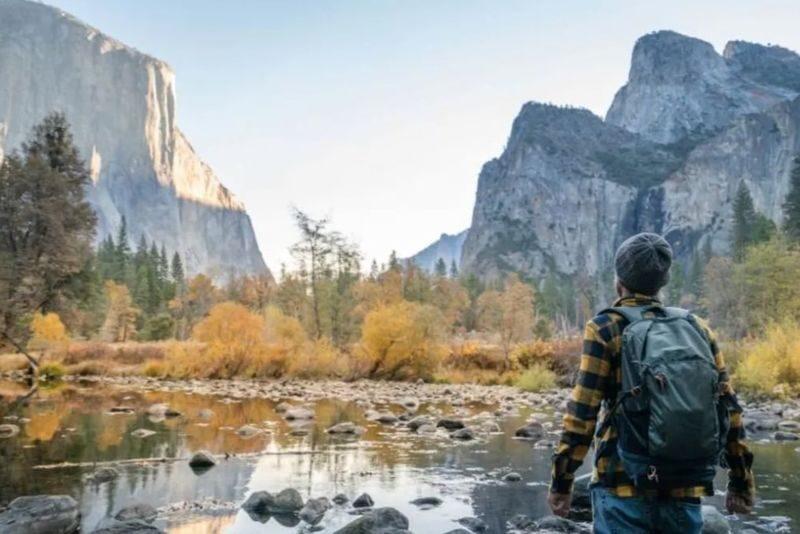 Yosemite National Park Guided Tour - The price buys convenience, not a full Yosemite visit