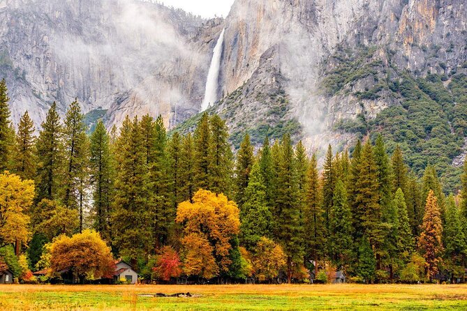 Yosemite National Park - One Way Trip - Booking Details