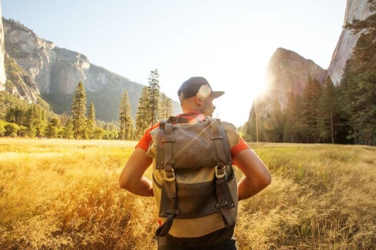 Yosemite Natl Park: Valley Lodge Semi-Guided 2-Day Tour - Experience Highlights