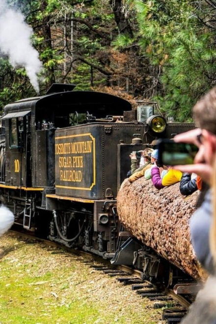 Yosemite: Scenic Logger Steam Train Ride With Narration - Planning Your Yosemite Adventure