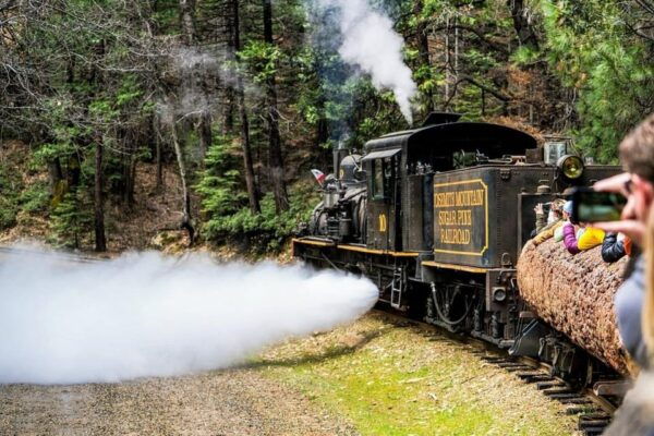 Yosemite: Scenic Logger Steam Train Ride With Narration - Frequently Asked Questions