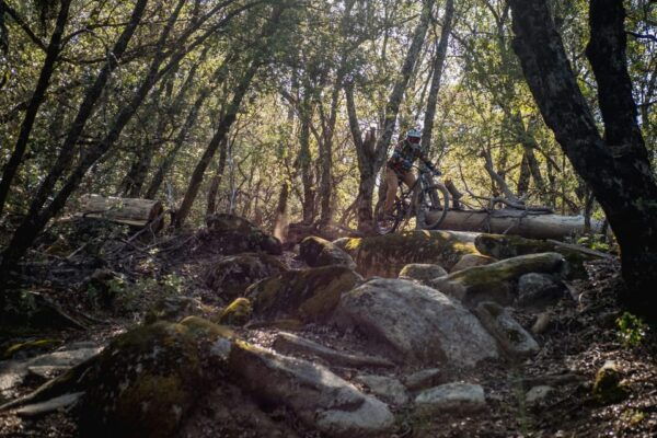 Yosemite Valley: KHS Zaca Hardtail Mountain Bike Rental - Bike Rental and Reservation