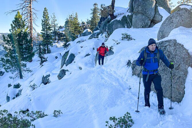 Yosemite Winter Wonderland Guided Hiking or Snowshoeing - Who Would Love This Tour?