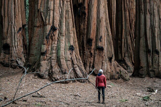 Yosemite Women's Only 3-Day Lodging Adventure from San Francisco - What Could Be Better  