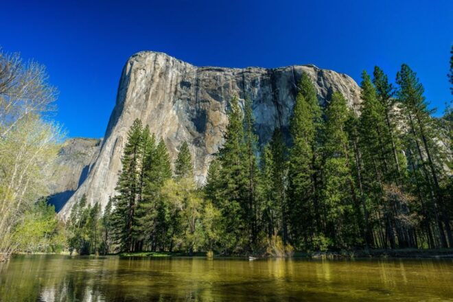 Yosemite'S Natural Wonders: Private Day Tour From San Jose - Selecting Participants and Date