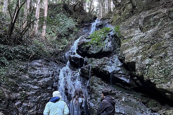 Yoshino Full Day Cycling + Hiking Tour - Tour Highlights