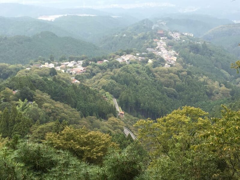 Yoshino: Private Guided Tour & Hiking in a Japanese Mountain - Frequently Asked Questions