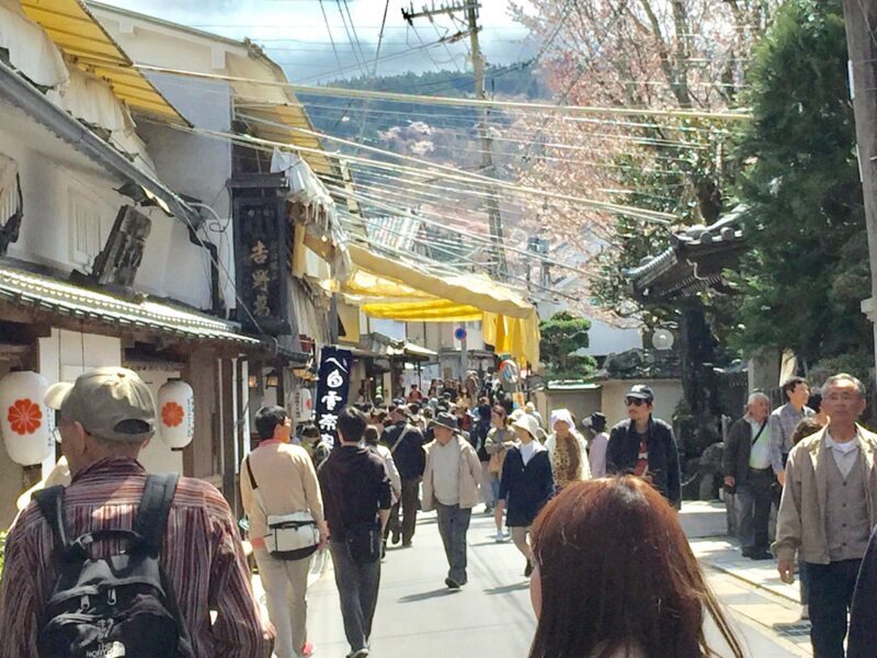 Yoshino: Private Guided Tour & Hiking in a Japanese Mountain - FAQ