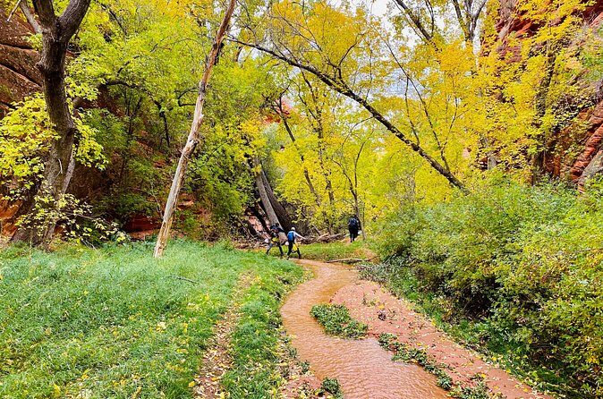 YOU DRIVE!! 4 Hr East Zion Guided UTV Tour - Final Thoughts