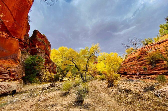 YOU DRIVE!! 4 Hr East Zion Guided UTV Tour - FAQ