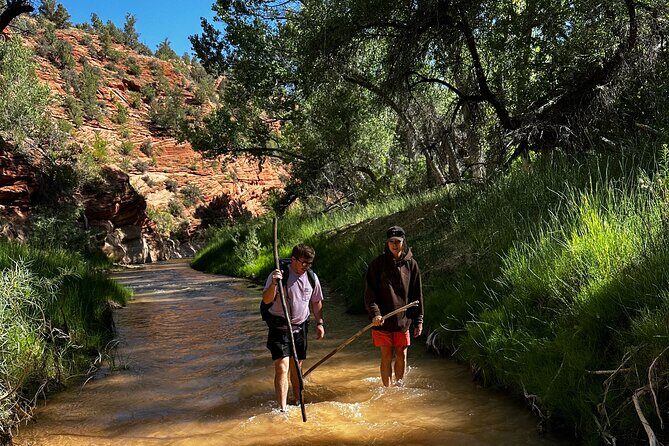 YOU DRIVE!! East Zion's Hidden Treasures - 4 Hr UTV Tour - In-Depth Review of the Experience