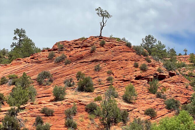 YOU DRIVE!! East Zion's Hidden Treasures - 4 Hr UTV Tour - The Sum Up