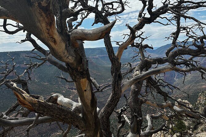 YOU DRIVE!! Iconic Grand Canyon Overlooks Full Day UTV Tour - The Sum Up