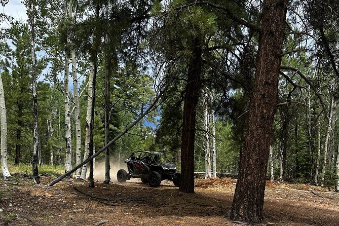 YOU DRIVE!! Iconic Grand Canyon Overlooks Full Day UTV Tour - FAQs