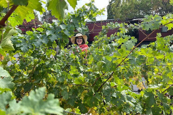 Yountville Food and Wine Tour in Napa - Overall Tour Experience