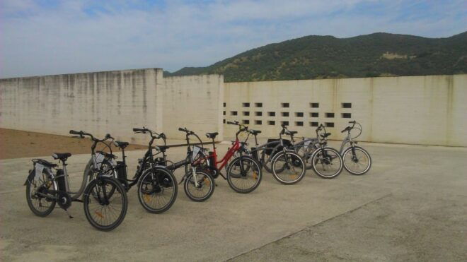 Your Bike Tour to Medina Azahara - Testimonials