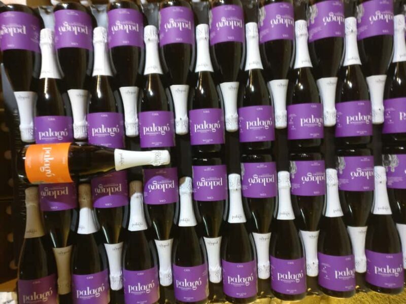 Your Cava, Your Story Wine workshop experience at Artcava - The Setting and Atmosphere