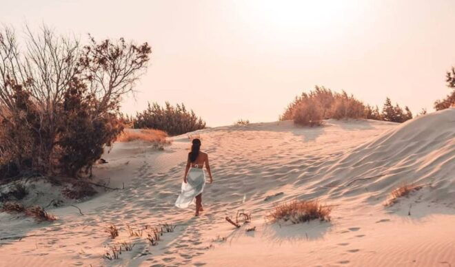 Your Custom Elafonisi Escape. Luxury Day Tour From Heraklion - Indulging in Authentic Cretan Cuisine