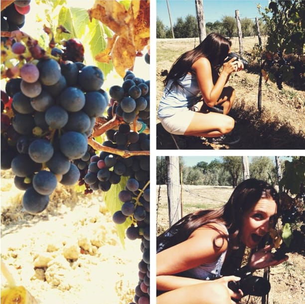 YOUR HONEYMOON IN TUSCANY: Private Chianti Wine Tasting Tour - Good To Know