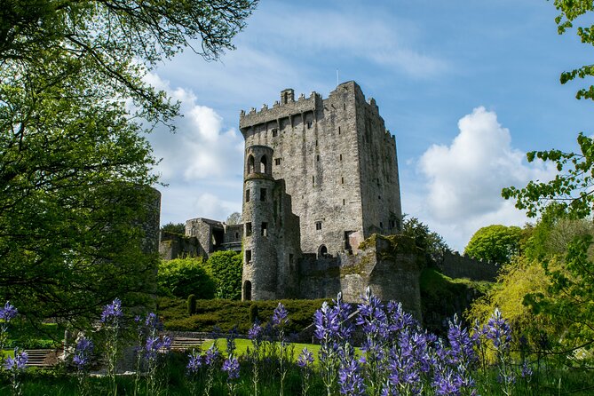 Your Irish Tour Blarney and Cork Private Day Tour - Customer Support and Inquiries